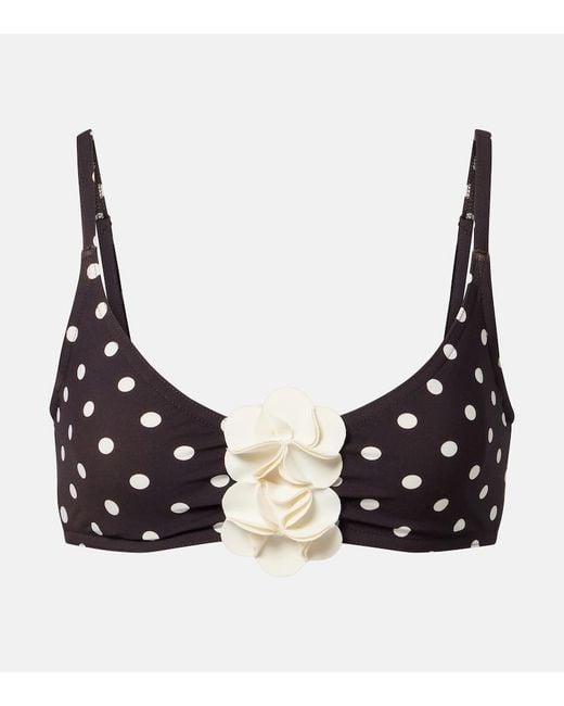Karla Colletto Black Floral-Applique Polka-Dot Bikini Top