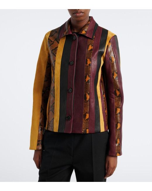 Proenza Schouler Brown Sirine Snake-Effect Striped Leather Jacket