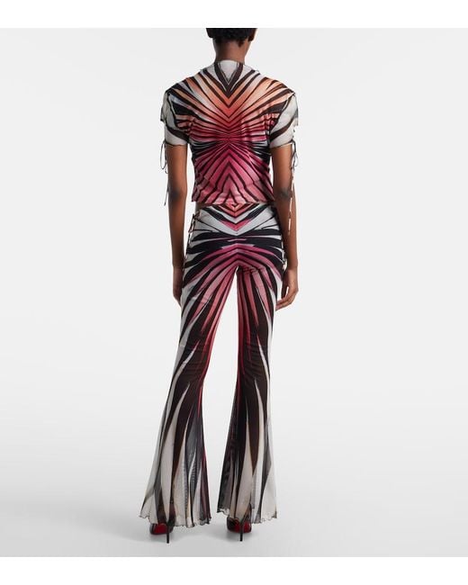 Roberto Cavalli Blue Printed Sheer Flared Pants