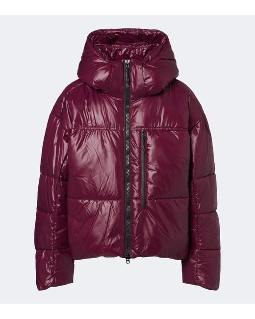 Adidas By Stella McCartney Purple Hooded Puffer Jacket