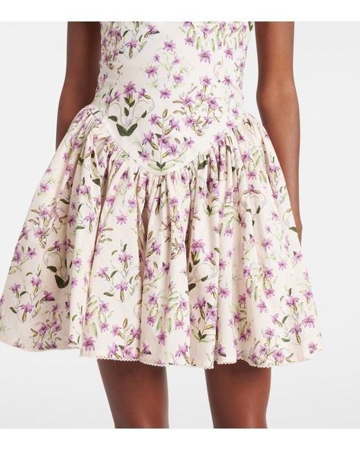 Agua Bendita Multicolor Pluma Floral Cotton Minidress