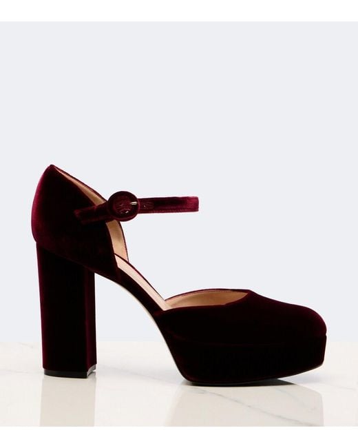 Gianvito Rossi Brown Velvet Platform Pumps