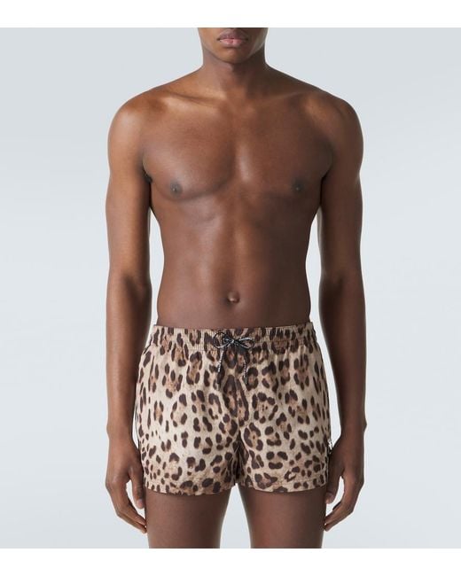 Dolce & Gabbana Brown Leopard-Print Swim Trunks for men