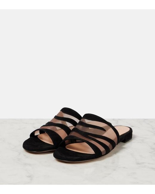 Gianvito Rossi Black Suede And Mesh Slides