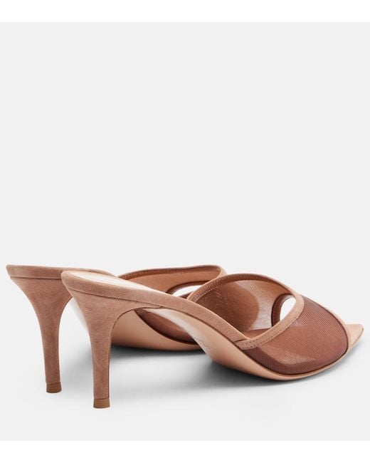 Gianvito Rossi Brown Dorotea Suede-Trimmed Mesh Mules
