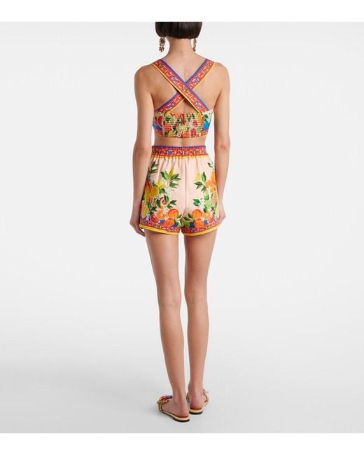 Dolce & Gabbana Multicolor Taormina Printed Cotton-Blend Shorts