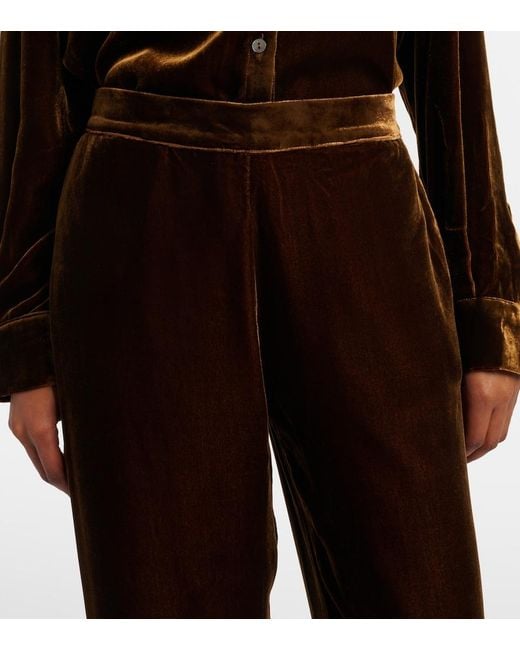 Asceno Brown London Velvet Pajama Pants