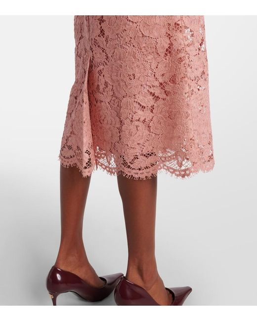 Dolce & Gabbana Pink Midirock Aus Spitze