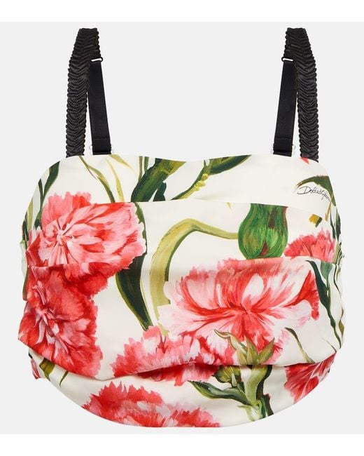 Dolce & Gabbana Red Floral-printed Silk-blend Crop Top