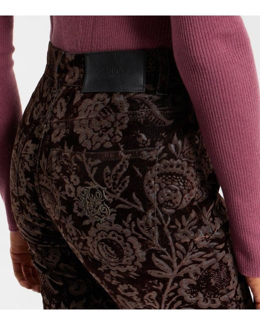 Chloé Black Bedruckte High-Rise-Hose Aus Samt