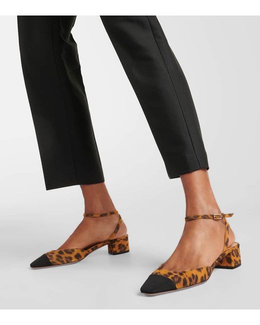 Aquazzura French Flirt 35 Leopard-Print Suede Pumps in Brown