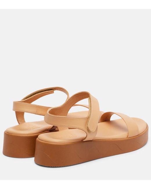 Ancient Greek Sandals Brown Leather Platform Sandals