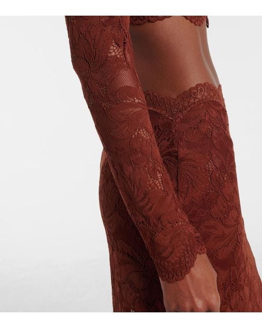 Rabanne Red Floral Lace Crop Top
