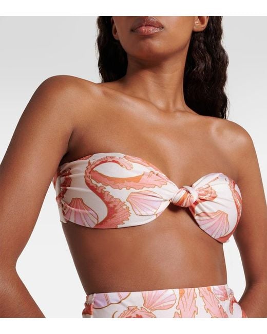 Adriana Degreas Pink Bikini Seashell