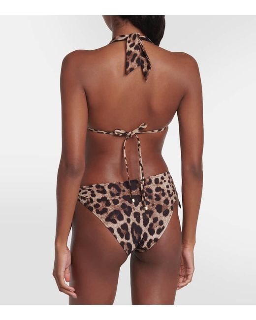 Slip bikini con stampa leopardata di Dolce & Gabbana in Brown