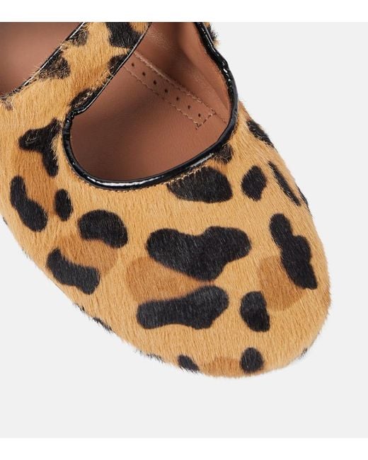 Alaïa Leopard-Print Ballet Flats in Brown | Lyst