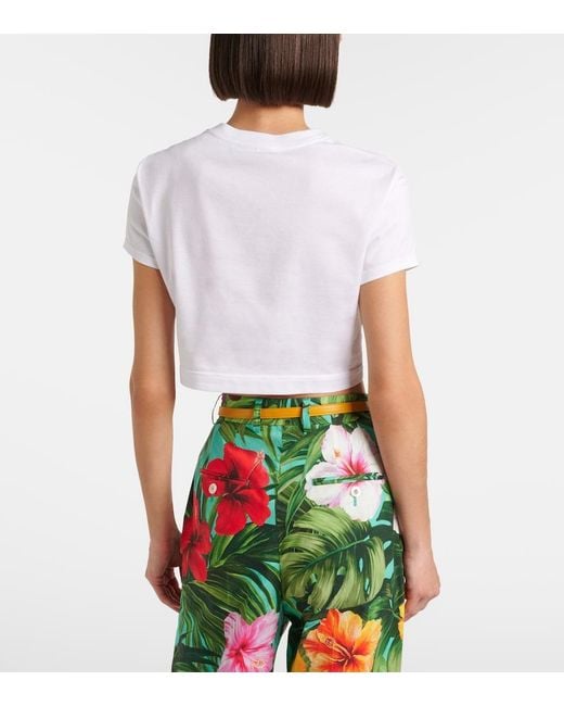 Dolce & Gabbana White Floral Cotton Crop Top