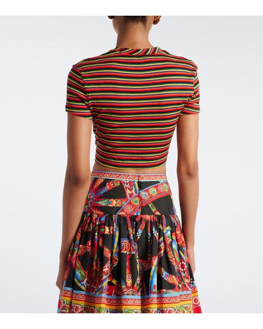 Dolce & Gabbana Red Cropped Striped Cotton T-Shirt