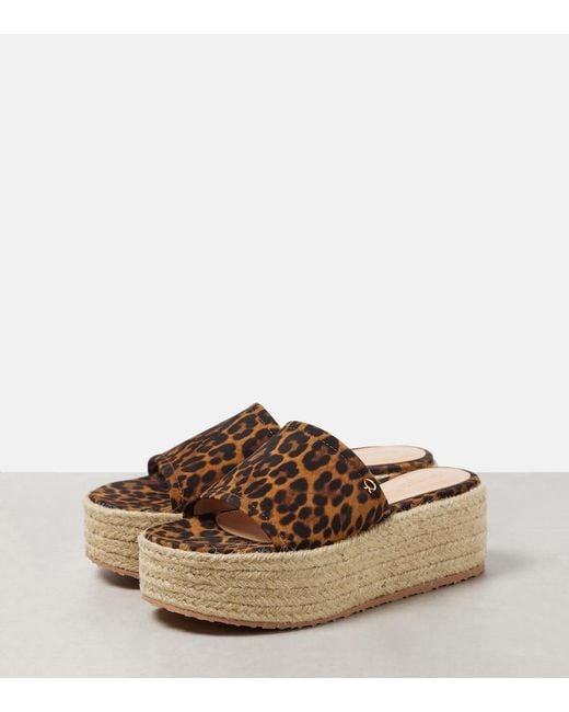 Gianvito Rossi Brown Leopard-Print Suede Espadrille Slides