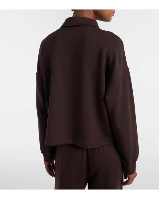 Velvet Brown Marian Polo Sweater