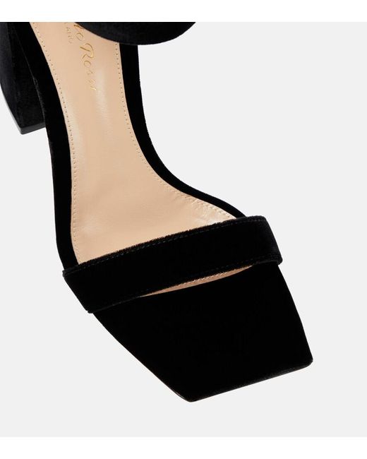 Gianvito Rossi Black Wondy Velvet Sandals