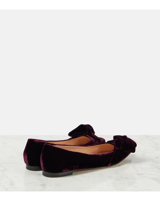 Gianvito Rossi Blue Bow-Detail Velvet Ballet Flats