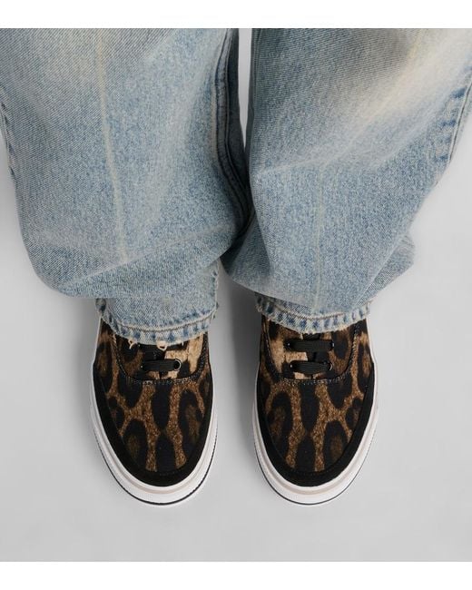 Dolce & Gabbana Brown Leopard-Print Canvas Sneakers