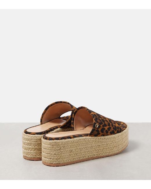 Gianvito Rossi Brown Leopard-Print Suede Espadrille Slides