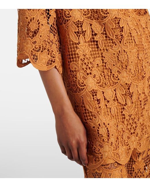 Zimmermann Brown Coco Scalloped Lace Top