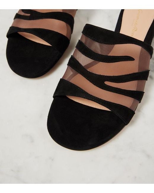 Gianvito Rossi Black Suede And Mesh Slides