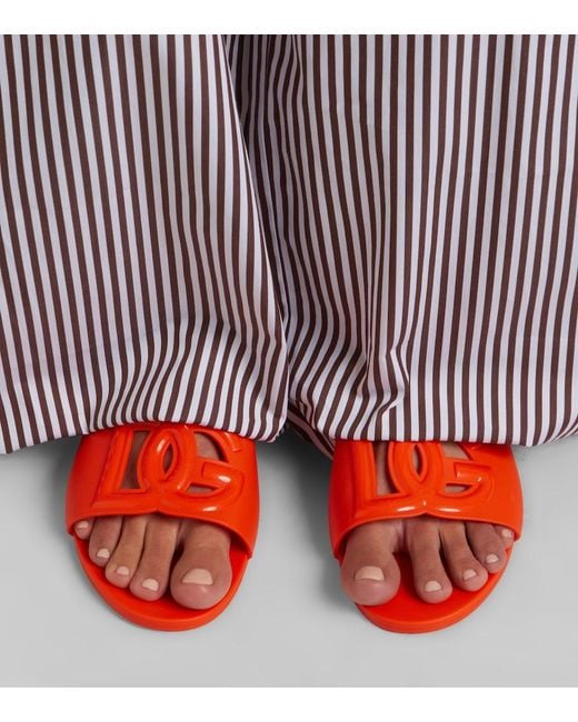 Dolce & Gabbana Orange Dg Rubber Slides
