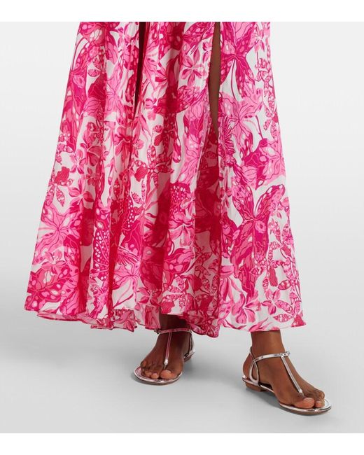 Poupette Pink Carla Printed Halterneck Maxi Dress