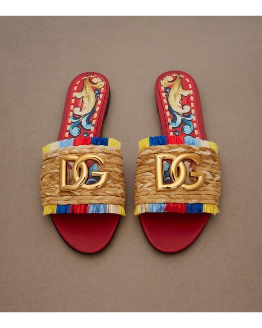 Dolce & Gabbana Multicolor Dg Slides