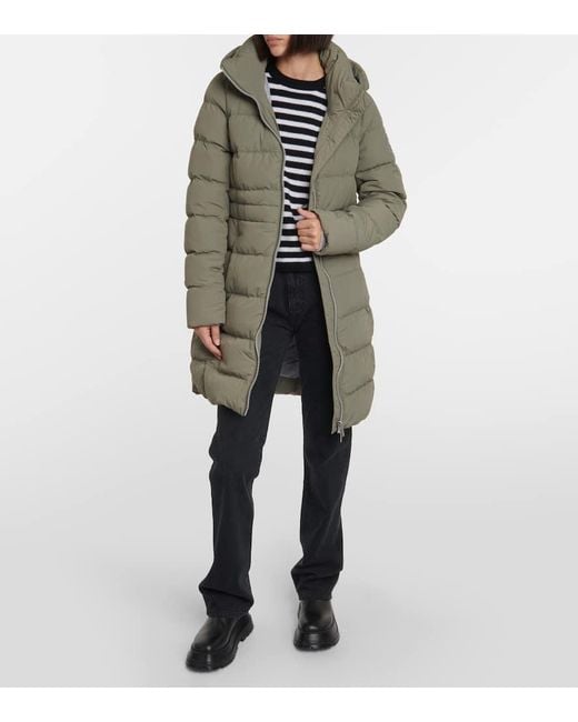 Canada goose aurora green sales