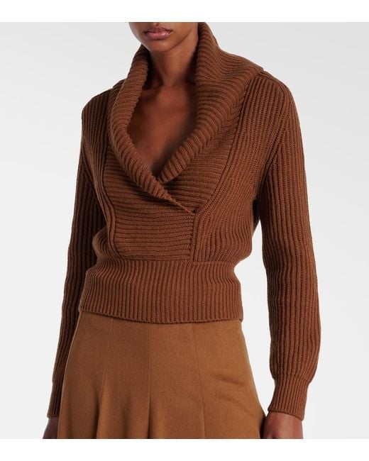 Pullover di Max Mara in Brown