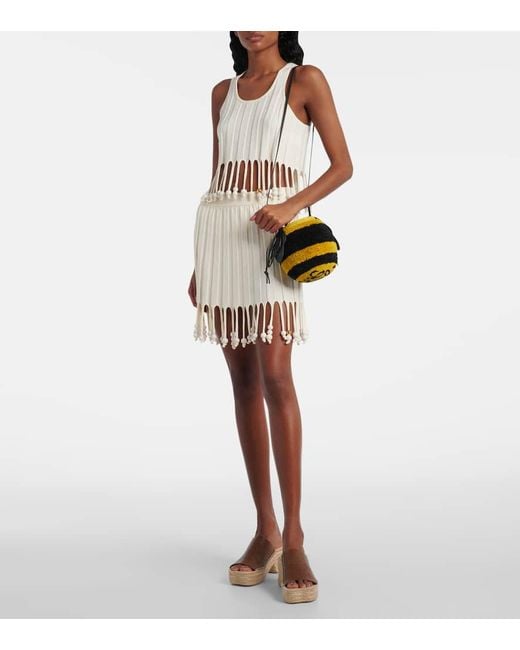 Loewe Paula's Ibiza Bee Raffia Crossbody Bag in Yellow | Lyst