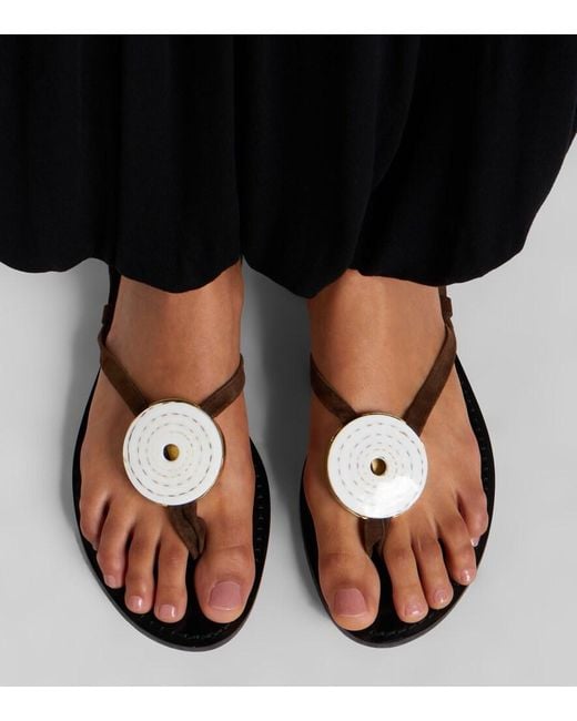 Amanu Brown Vamizi Embellished Suede Thong Sandals