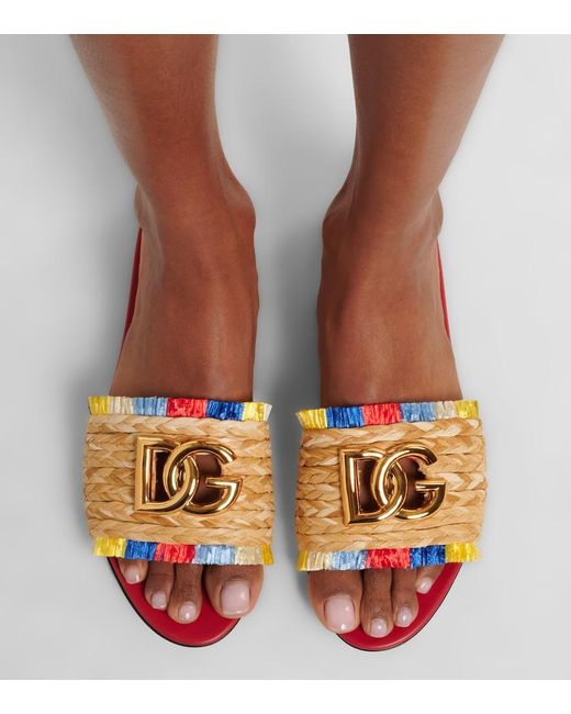 Dolce & Gabbana Multicolor Dg Slides