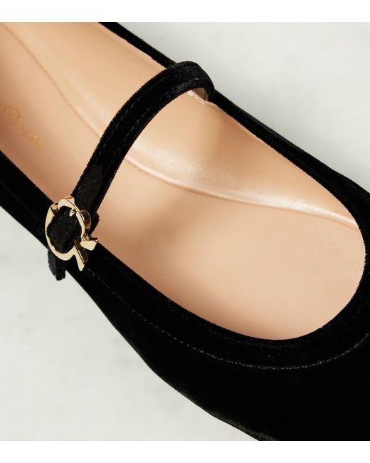 Gianvito Rossi Black Carla Velvet Ballet Flats