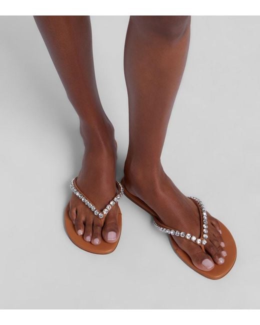 AMINA MUADDI Pink Gigi Embellished Leather Thong Sandals