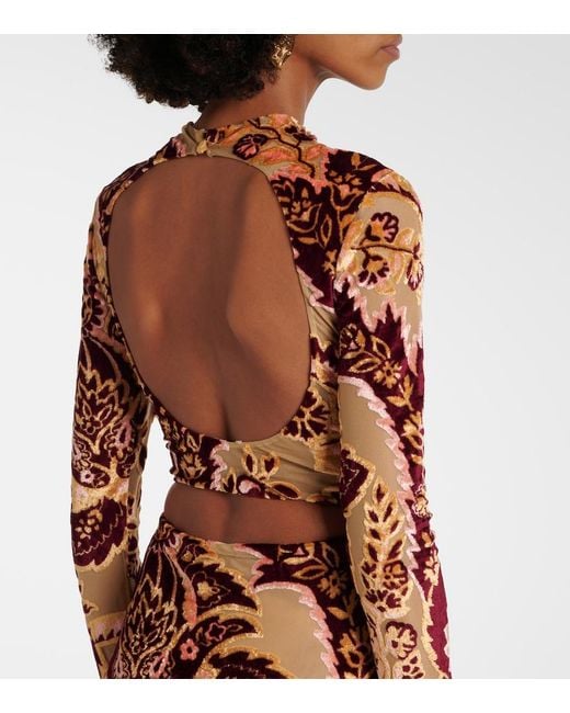 Etro White Paisley Tulle And Velvet Jacquard Crop Top