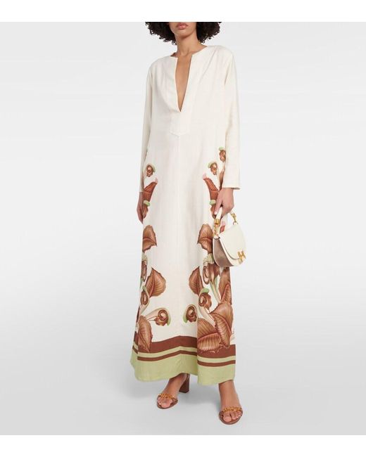 Adriana Degreas Natural Arisaema Printed Maxi Dress
