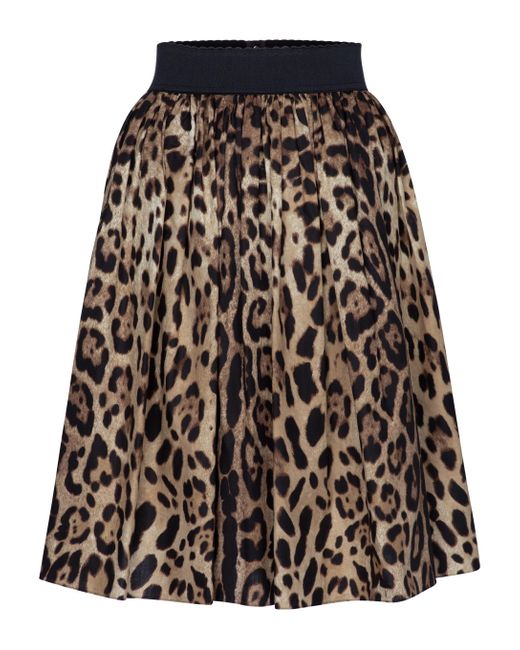Jupe en coton a motif leopard Dolce & Gabbana en coloris Black