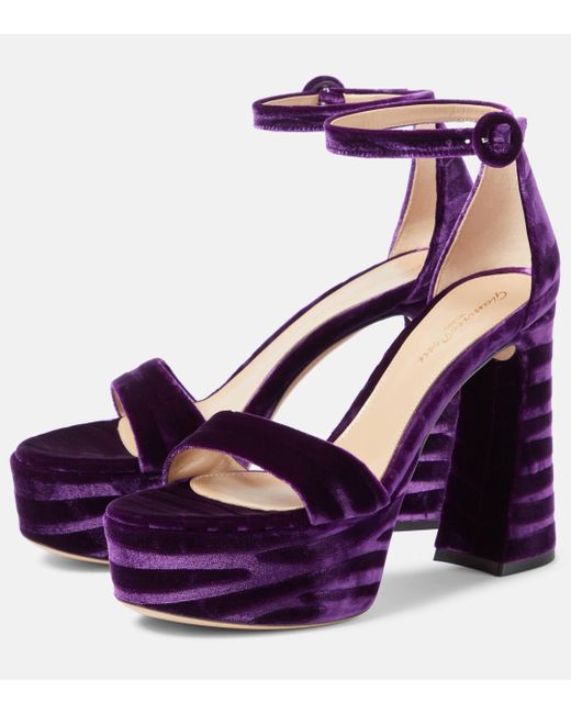 Gianvito Rossi Purple Holly Velvet Platform Sandals
