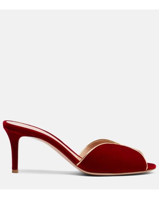 Gianvito Rossi Red 70 Leather-Trimmed Velvet Mules