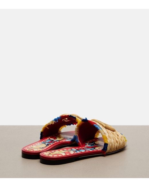 Dolce & Gabbana Multicolor Dg Slides