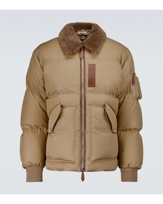 Burberry Cotton Stanley Down-filled Bomber Jacket in Brown for Men | Lyst