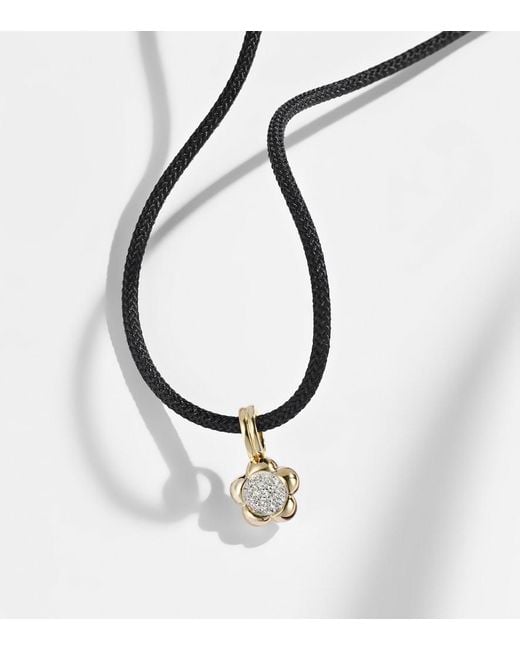STONE AND STRAND Metallic Crosby 10Kt Choker With Diamonds