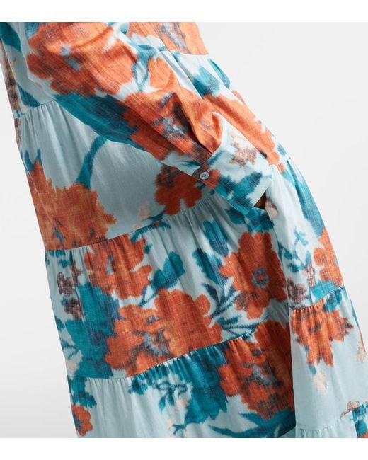 Erdem Blue Kleid Aus Baumwolle