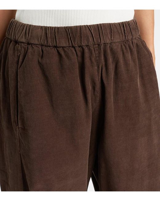 Velvet Brown Laney Cotton Straight Pants